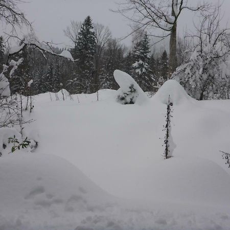Pension Oberwirt Фишбахау Экстерьер фото
